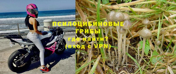 дурь Алексин