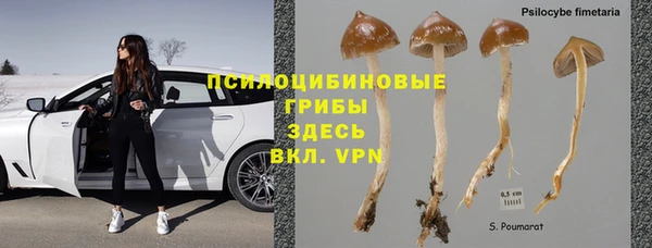 дурь Алексин