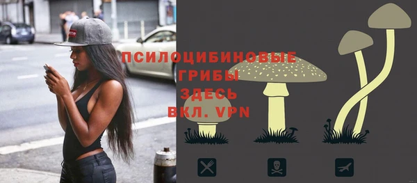 дурь Алексин