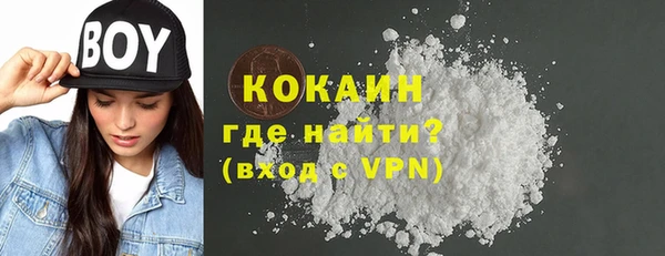 дурь Алексин